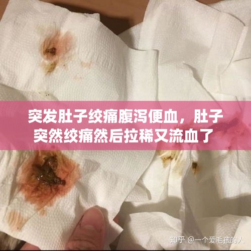 突發(fā)肚子絞痛腹瀉便血，肚子突然絞痛然后拉稀又流血了 