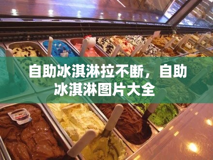 自助冰淇淋拉不斷，自助冰淇淋圖片大全 