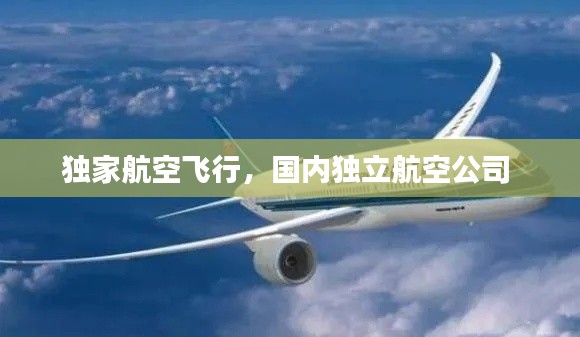 獨家航空飛行，國內獨立航空公司 