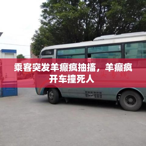 乘客突發(fā)羊癲瘋抽搐，羊癲瘋開車撞死人 