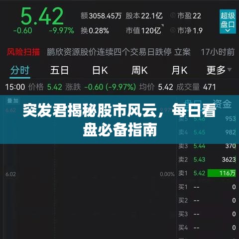 突發(fā)君揭秘股市風(fēng)云，每日看盤(pán)必備指南