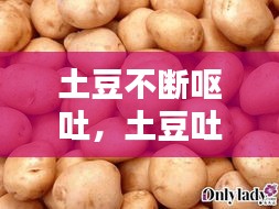 土豆不斷嘔吐，土豆吐都吐圖片 