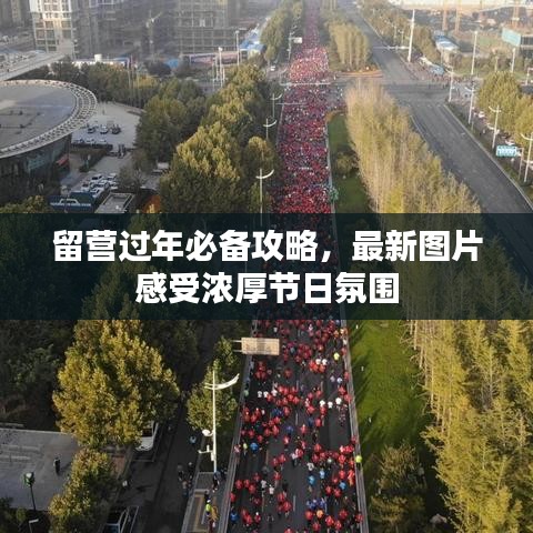 留營過年必備攻略，最新圖片感受濃厚節(jié)日氛圍