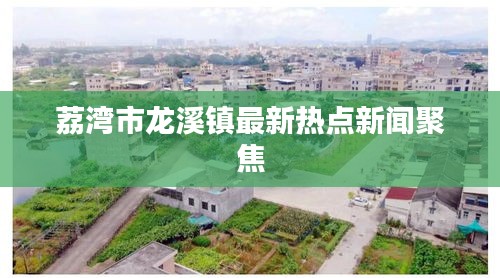 荔灣市龍溪鎮(zhèn)最新熱點(diǎn)新聞聚焦