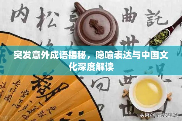 突發(fā)意外成語揭秘，隱喻表達(dá)與中國文化深度解讀