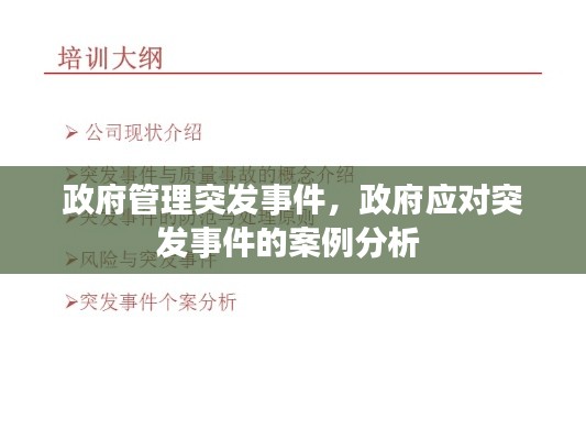 政府管理突發(fā)事件，政府應(yīng)對突發(fā)事件的案例分析 