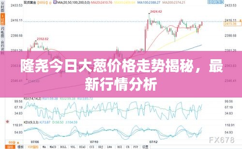 隆堯今日大蔥價格走勢揭秘，最新行情分析