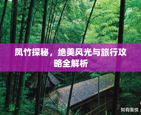 鳳竹探秘，絕美風(fēng)光與旅行攻略全解析