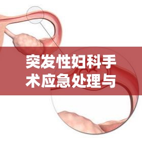 突發(fā)性婦科手術(shù)應(yīng)急處理與預(yù)防策略解析