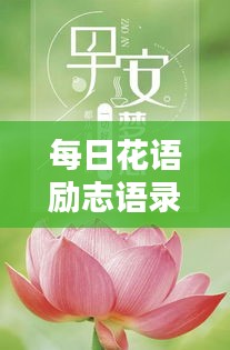 每日花語勵志語錄，簡短鼓舞人心的話語精選