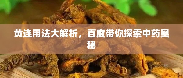 黃連用法大解析，百度帶你探索中藥奧秘