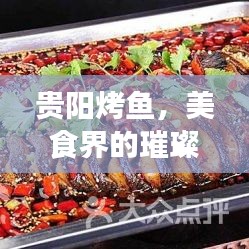 貴陽烤魚，美食界的璀璨明珠，排名前十必嘗佳肴！