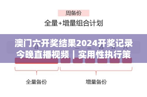 澳門六開獎結果2024開獎記錄今晚直播視頻｜實用性執(zhí)行策略講解