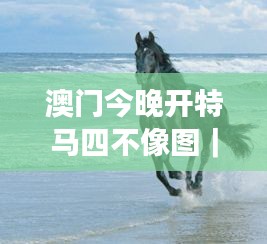 澳門今晚開特馬四不像圖｜廣泛的關(guān)注解釋落實熱議