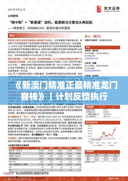 《新澳門精準正最精準龍門客?！罚媱澐答亪?zhí)行