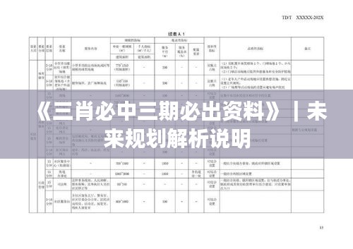 《三肖必中三期必出資料》｜未來規(guī)劃解析說明