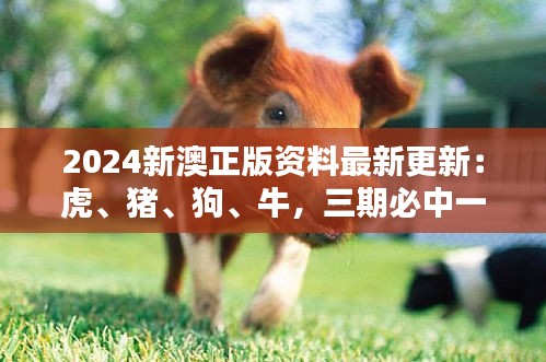 2024新澳正版資料最新更新：虎、豬、狗、牛，三期必中一期