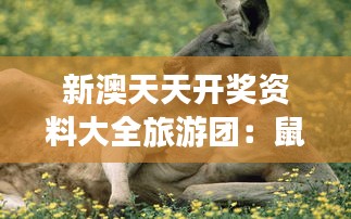 新澳天天開獎資料大全旅游團：鼠、雞、猴、狗，免費資料