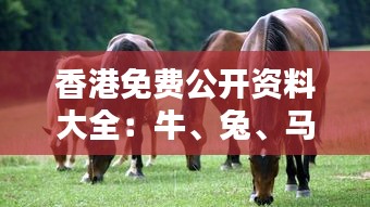 香港免費(fèi)公開資料大全：牛、兔、馬、雞，精選四肖