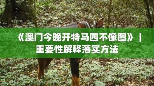 《澳門今晚開特馬四不像圖》｜重要性解釋落實(shí)方法