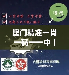 澳門精準一肖一碼一一中｜詮釋說明解析