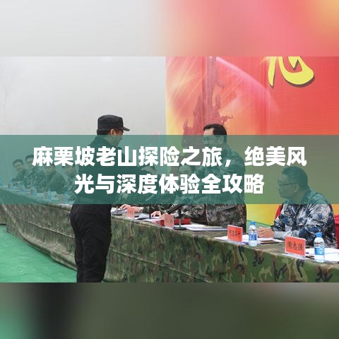 麻栗坡老山探險之旅，絕美風光與深度體驗全攻略