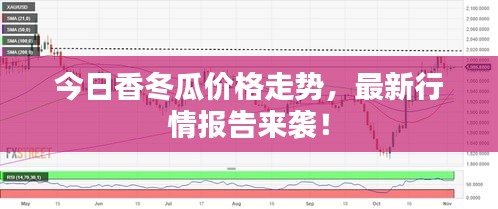 2025年1月16日 第4頁