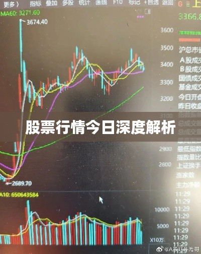 股票行情今日深度解析