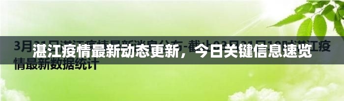 湛江疫情最新動態(tài)更新，今日關鍵信息速覽