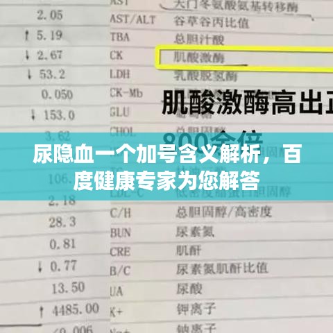 尿隱血一個加號含義解析，百度健康專家為您解答