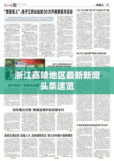 浙江嘉陵地區(qū)最新新聞頭條速覽