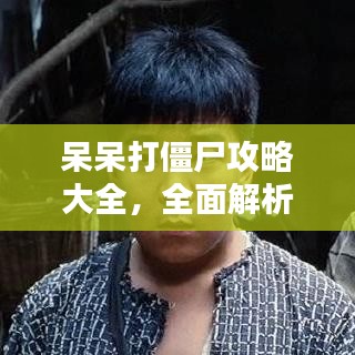 呆呆打僵尸攻略大全，全面解析助你輕松通關(guān)！