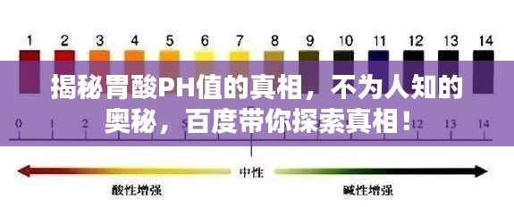 揭秘胃酸PH值的真相，不為人知的奧秘，百度帶你探索真相！