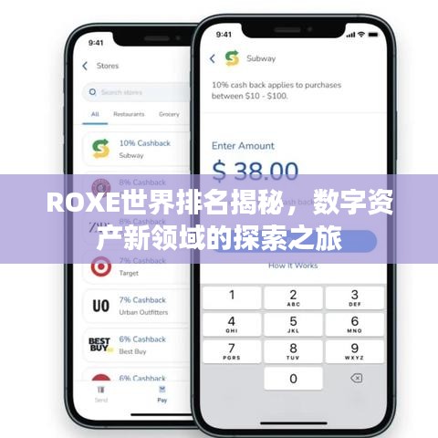 ROXE世界排名揭秘，數(shù)字資產(chǎn)新領(lǐng)域的探索之旅