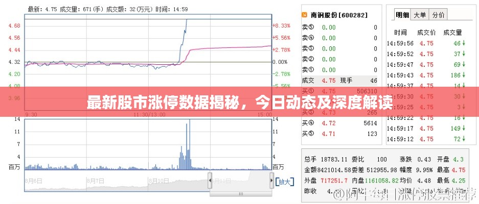 最新股市漲停數(shù)據(jù)揭秘，今日動態(tài)及深度解讀