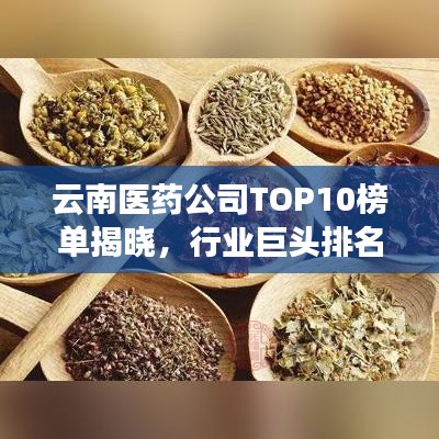 云南醫(yī)藥公司TOP10榜單揭曉，行業(yè)巨頭排名一覽