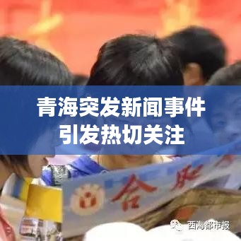 青海突發(fā)新聞事件引發(fā)熱切關注