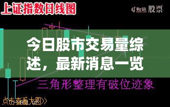 今日股市交易量綜述，最新消息一覽