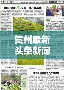 賀州最新頭條新聞一網(wǎng)打盡綜述