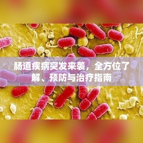 腸道疾病突發(fā)來襲，全方位了解、預防與治療指南