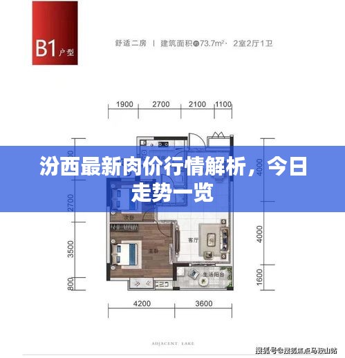 汾西最新肉價行情解析，今日走勢一覽