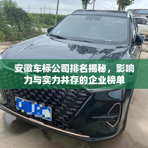 安徽車標(biāo)公司排名揭秘，影響力與實力并存的企業(yè)榜單