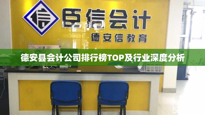 德安縣會計公司排行榜TOP及行業(yè)深度分析