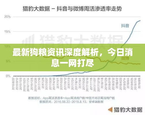 最新狗糧資訊深度解析，今日消息一網(wǎng)打盡