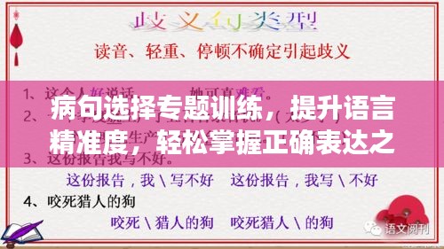 病句選擇專題訓(xùn)練，提升語言精準(zhǔn)度，輕松掌握正確表達(dá)之道！