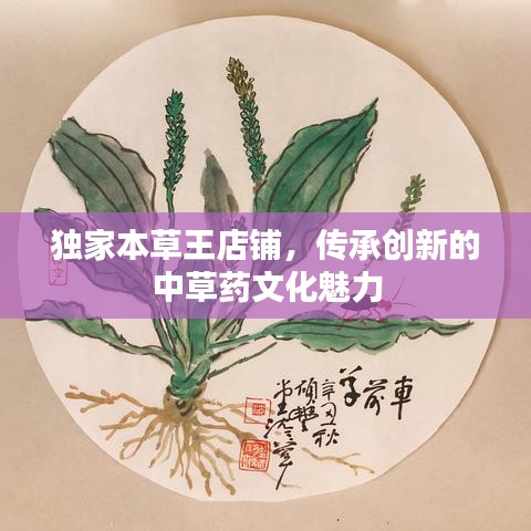 獨(dú)家本草王店鋪，傳承創(chuàng)新的中草藥文化魅力