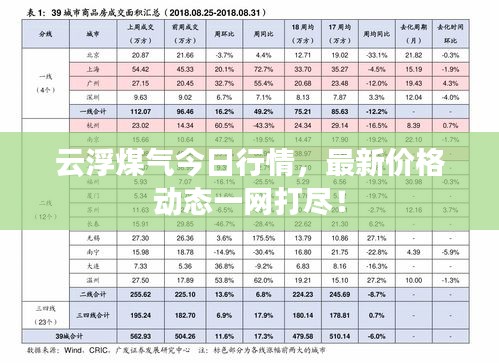 云浮煤氣今日行情，最新價格動態(tài)一網(wǎng)打盡！