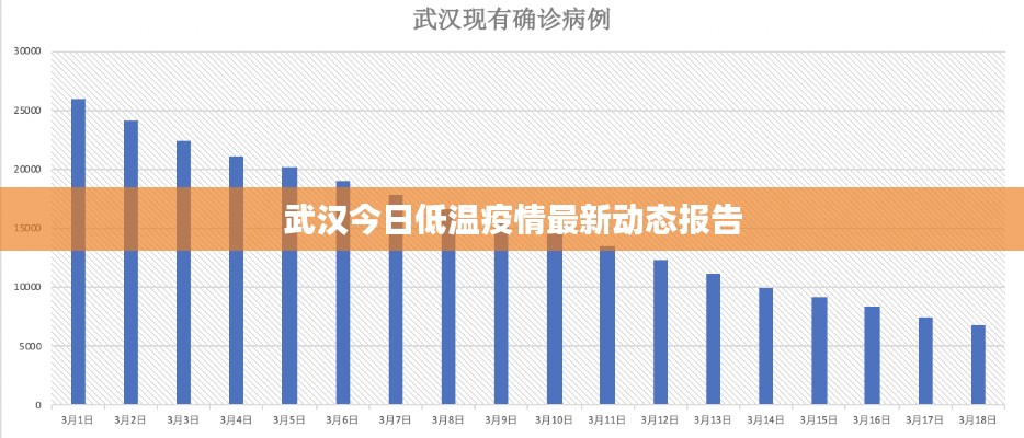 武漢今日低溫疫情最新動(dòng)態(tài)報(bào)告