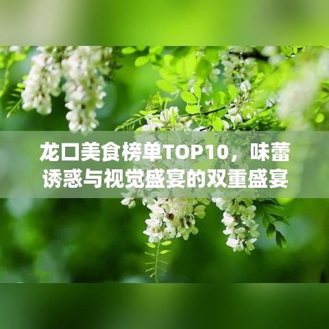 龍口美食榜單TOP10，味蕾誘惑與視覺(jué)盛宴的雙重盛宴