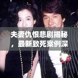 夫妻仇恨悲劇揭秘，最新致死案例深度剖析